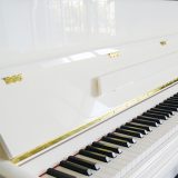 UP-110W - Image 3